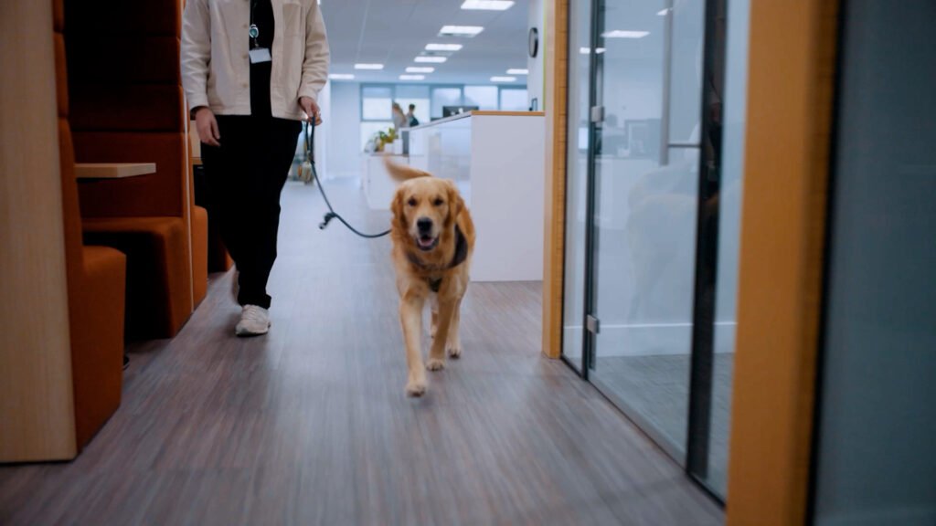 Thinking of Adopting a Pet? Here’s What You Should Know First